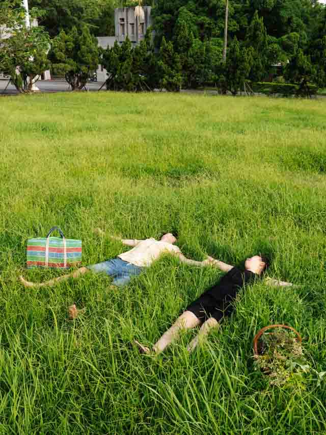 Weed Day